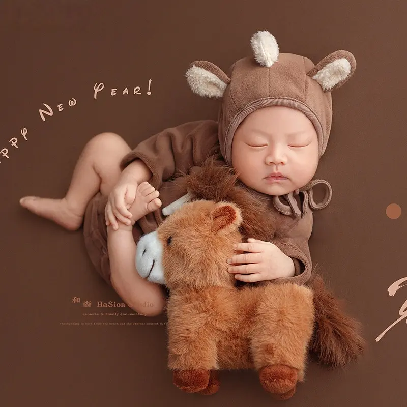 2026 Brown Horse Theme Set - Newborn Photography Props - Image 4